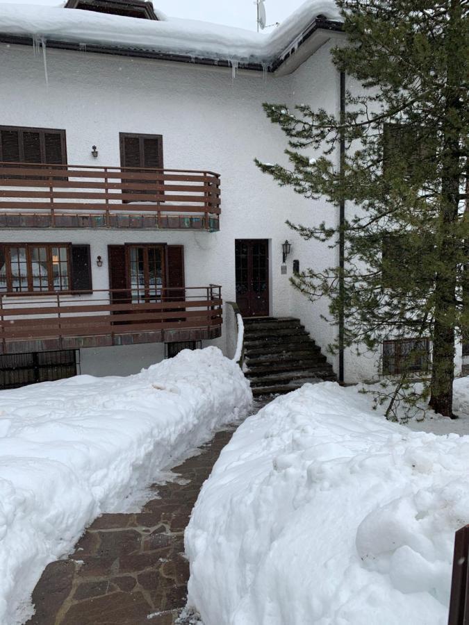Apartamento Blue Mountain Ponte Di Legno Exterior foto